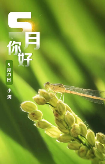 5月8.jpg