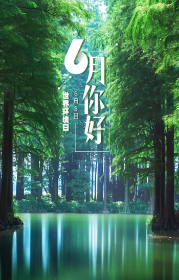 6月2.jpg