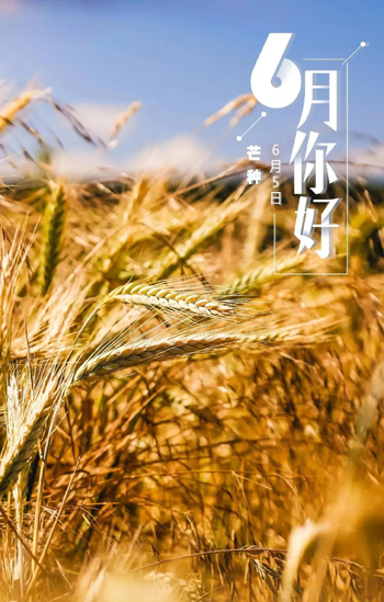 6月3.jpg