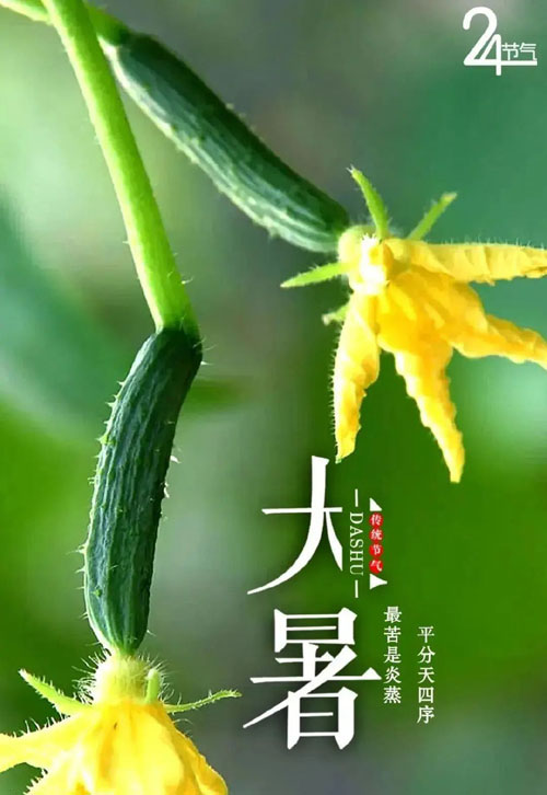大暑2.jpg 大暑2.jpg