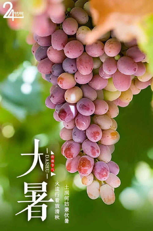 大暑3.jpg 大暑3.jpg