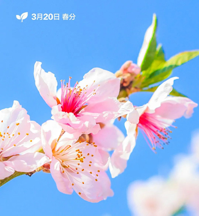 3月，你好！7.jpg